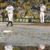 【セＣＳ】田んぼ甲子園に怒る阪神　強雨決行決めたＮＰＢの言い分 | 東スポの野球に